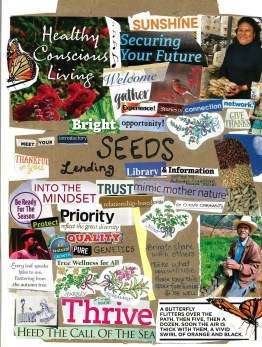 Seed Lending Library collage