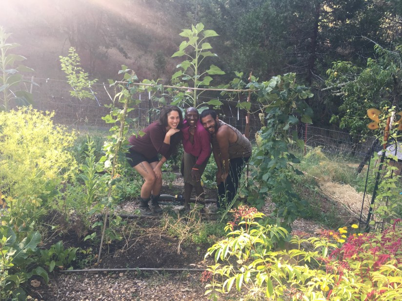 3 folks pose in the garden