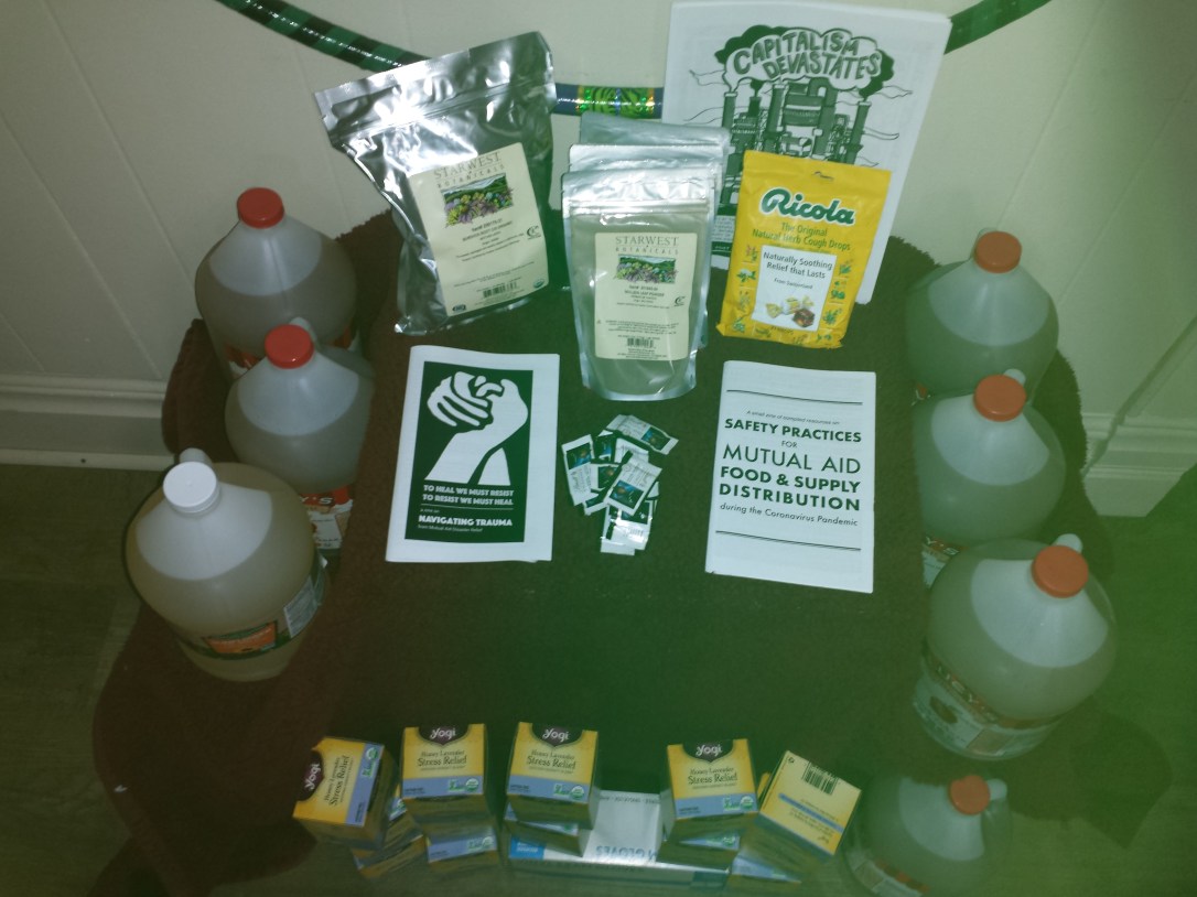 Picture shows 3 gallons of vinegar flanking dehydrated herbs, zines and tea a top a marron blanket