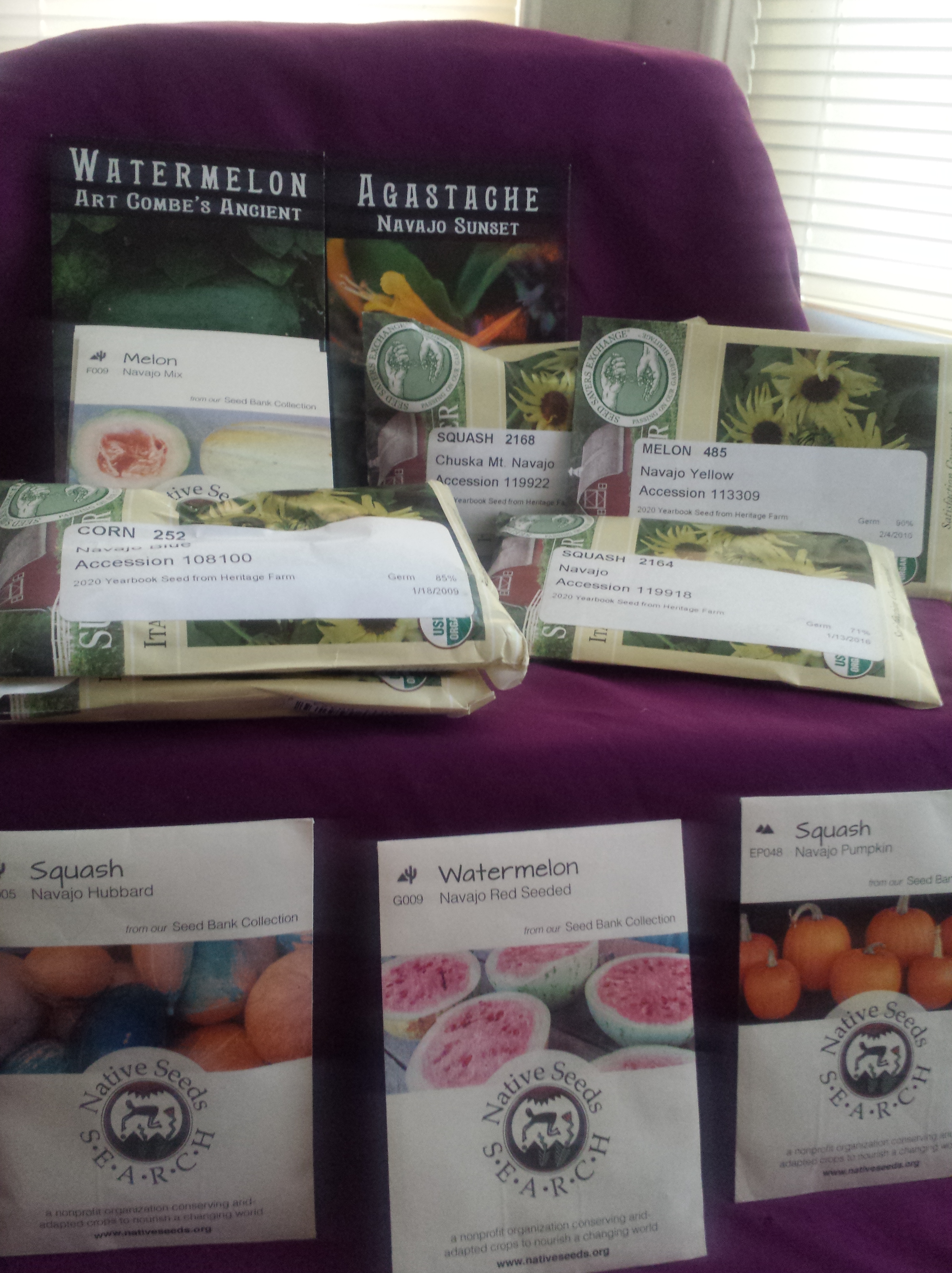 10 varieties of Diné Ancestral Seeds. Watermelon, Squash, Agastache, Melon, Corn, Yellow Melon,