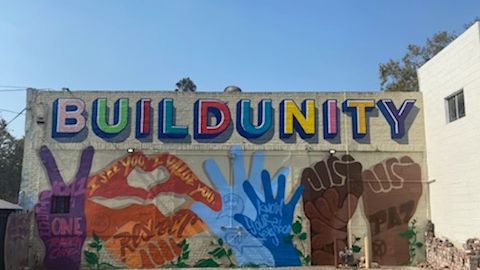 At the top of grey wall is bubble letter multicolour words "Build Unity". Below is the peace sign in purple, red lips Respect, green vines, blue hands and brown fists.