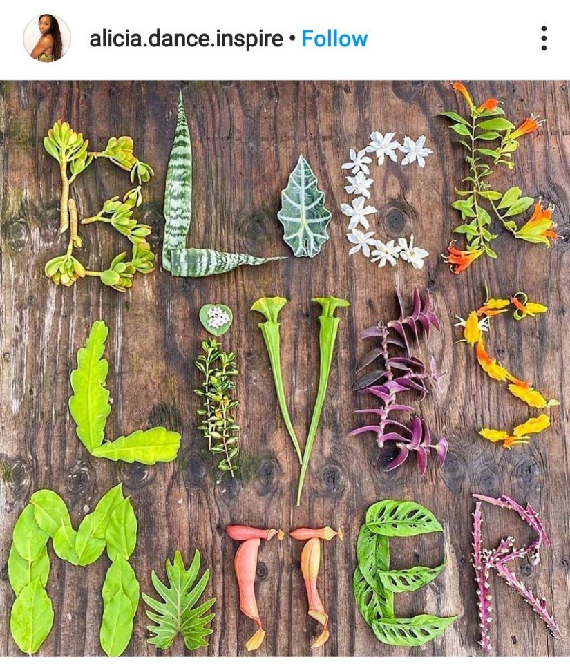 A screen capture of a social media post. Black Lives Matter written in plant leaves and flowers on a solid wood table. The original artist is @pottedelephant on Instagram.