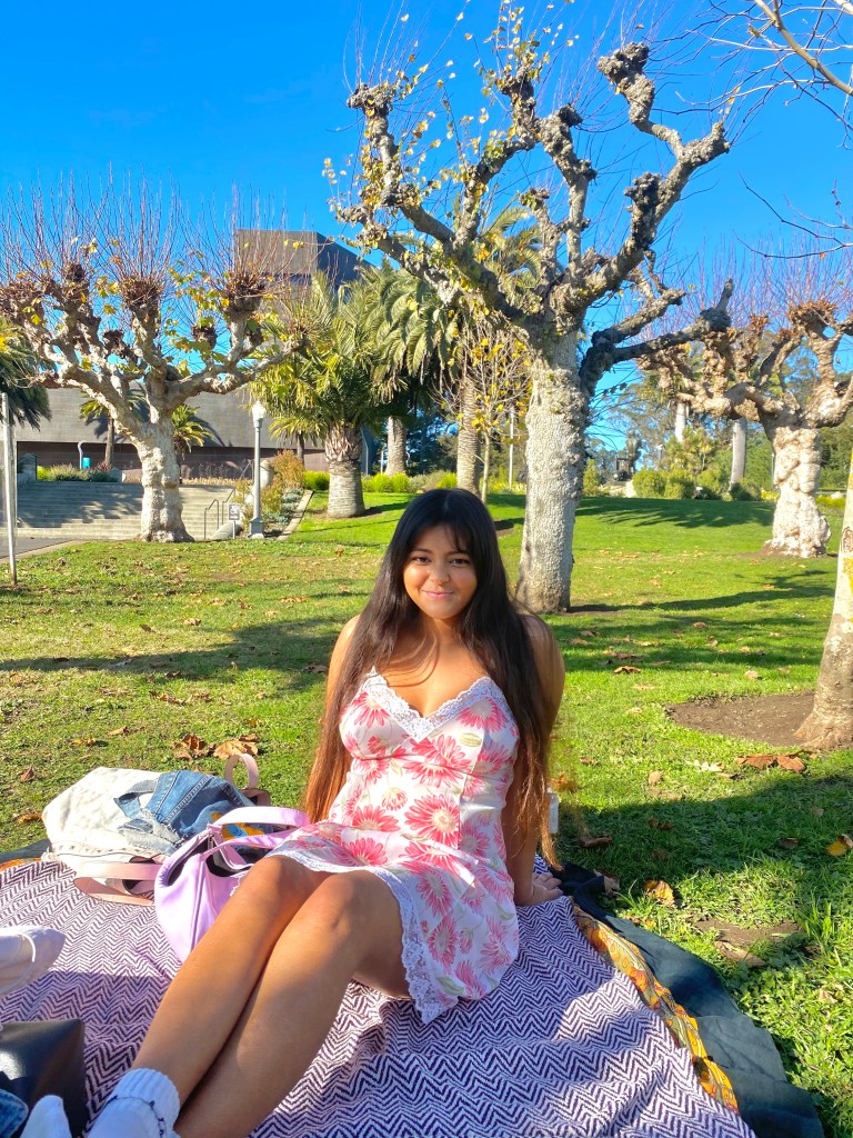 Courtney poses in the park in a pink floral dress on a striped blanket