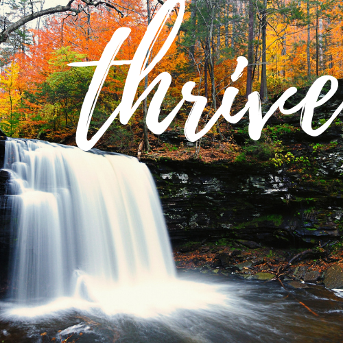 The Fall leaves change into dynamic colours as the water pours over the ledge of rocks.