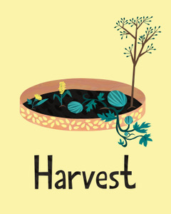 Harvest. A Seed themed adobe wall in closes a garden of Sorghum, Watermelon, Moringa and Okra