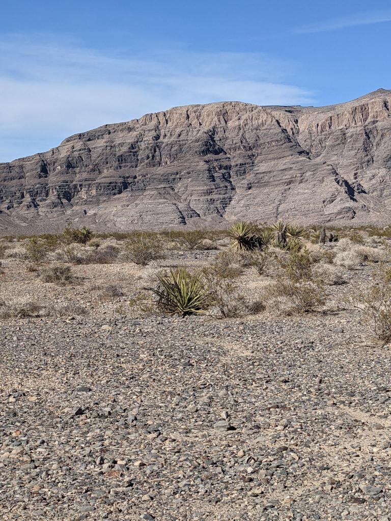 a horizontally stripped mountain is the back drop in the desert. Green plants in the foregroung