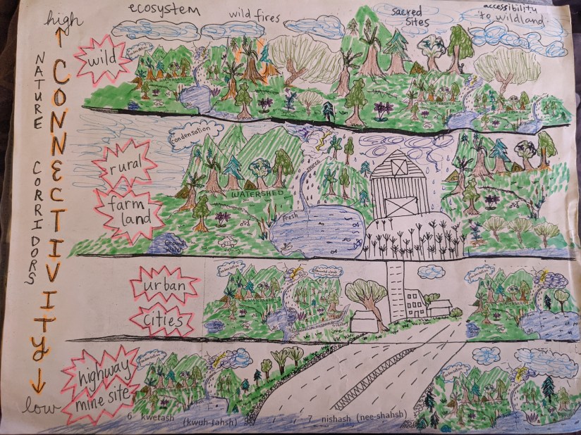 Nature Corridors Connectivity illustration is in 4 parts, from top to bottom: wild, rural & farm land, urban & cities, and highway & mine site. Each section lists characteristics of each place and contain drawings of how each place looks.