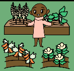 Cartoon image of a person that is smiling in a pink dress who stands in the middle of 4 garden beds. The background is green and the foreground shows two garden beds that have green and white plants on the right, and orange and white plants on the left. Behind the person are garden beds to the right and left that have tall plants and leafy plants.